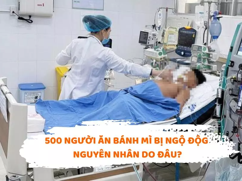 Bạn đã biết gì về “thủ phạm” khiến hơn 500 người bị ngộ độc thực phẩm sau khi ăn bánh mì tại Đồng Nai?